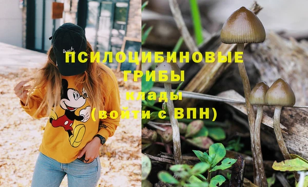прущий лед Белоозёрский