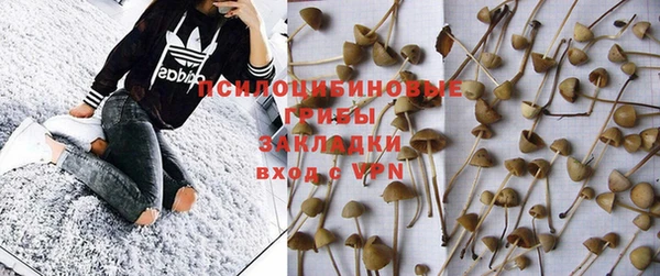 прущий лед Белоозёрский