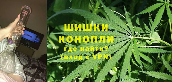 трава Богородицк