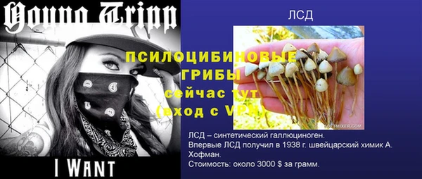 прущий лед Белоозёрский