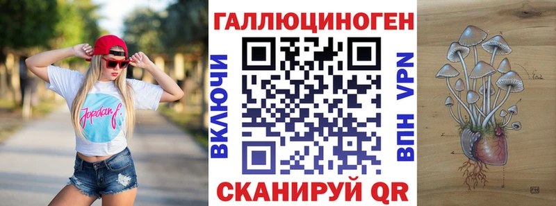 Псилоцибиновые грибы Psilocybe  хочу наркоту  Бор 
